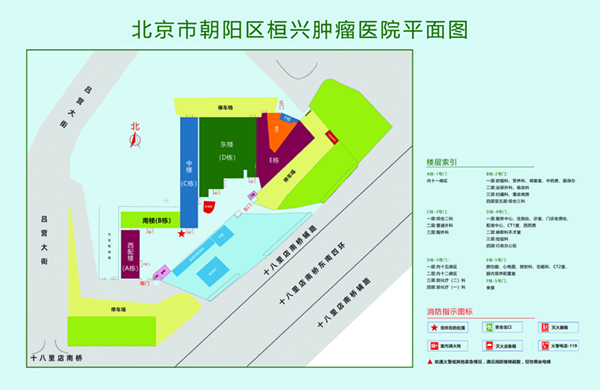 国产骚逼视频北京市朝阳区桓兴肿瘤医院平面图